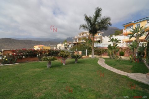 Villa for sale in Torviscas, Tenerife, Spain 3 bedrooms, 400 sq.m. No. 18327 - photo 6
