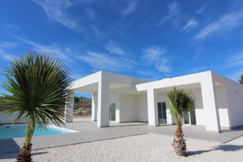 Villa for sale in Pinoso, Alicante, Spain 3 bedrooms, 163 sq.m. No. 13789 - photo 1
