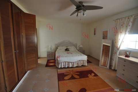 Villa for sale in Torviscas, Tenerife, Spain 3 bedrooms, 400 sq.m. No. 18327 - photo 23
