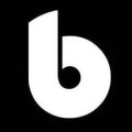 Binomium Properties