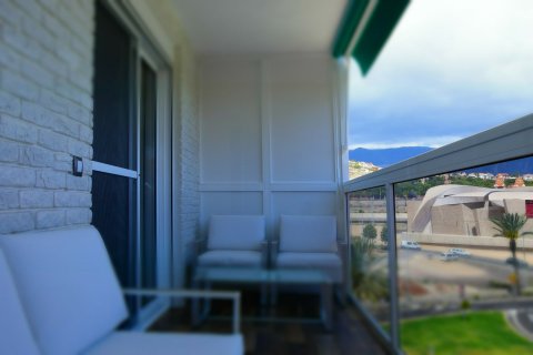 Apartment for sale in Adeje, Tenerife, Spain 1 bedroom, 45 sq.m. No. 18344 - photo 2
