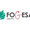 Fogesa Grupo