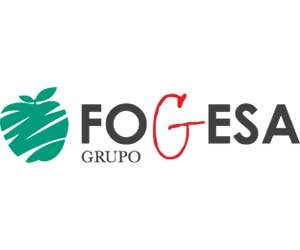 Fogesa Grupo