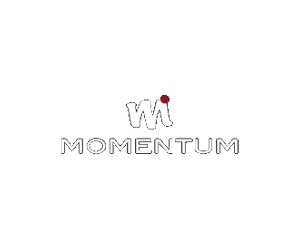 Momentum