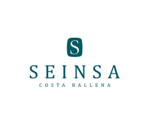 Seinsa