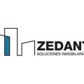 Zedant