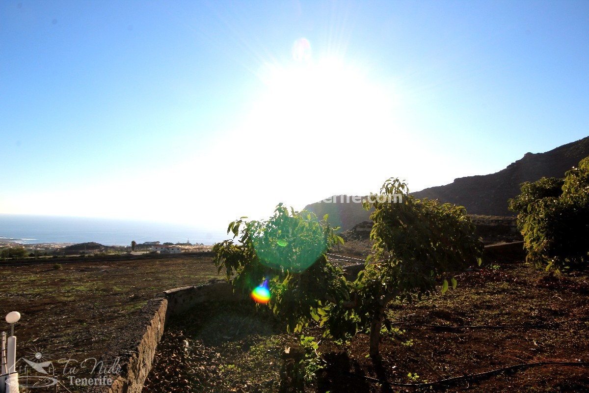 Finca in Puerto de Santiago, Tenerife, Spain 2 bedrooms, 62 sq.m. No. 24638