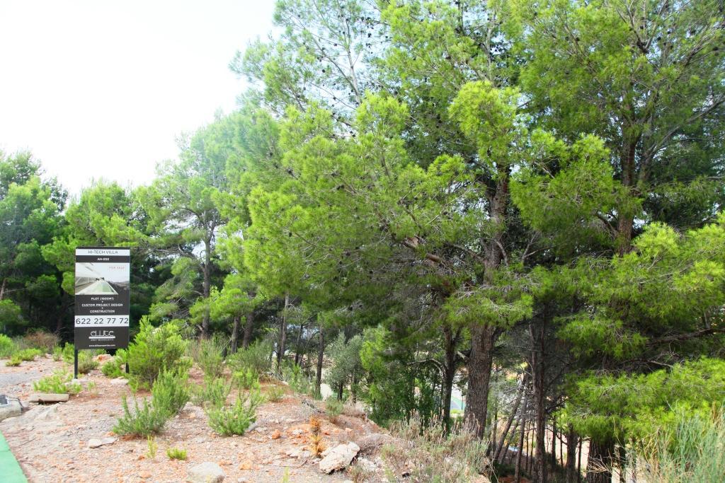 Land in Altea, Alicante, Spanien 9586 m2 Nr. 25017