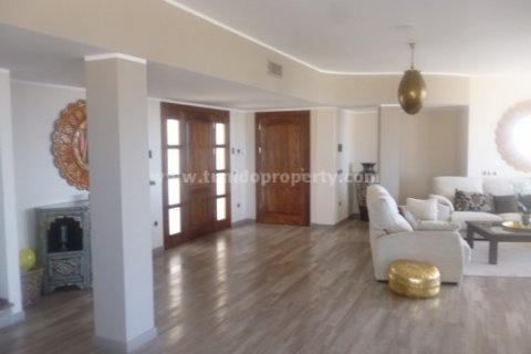 Villa for sale in Torviscas, Tenerife, Spain 4 bedrooms, 690 sq.m. No. 24291 - photo 4