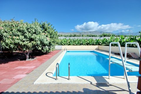 Finca for sale in Callao Salvaje, Tenerife, Spain 6 bedrooms, 280 sq.m. No. 24396 - photo 4