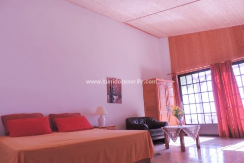 Finca for sale in Guia de Isora, Tenerife, Spain 4 bedrooms, 110 sq.m. No. 24357 - photo 22