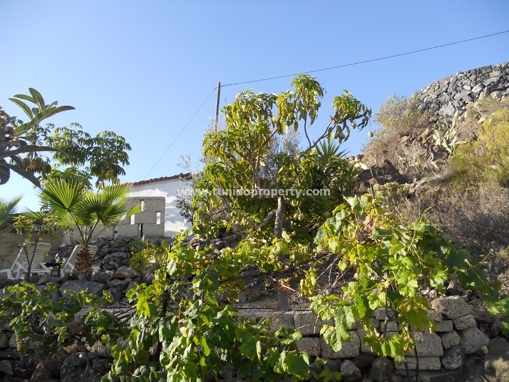 Finca in Guia de Isora, Tenerife, Spain 4 bedrooms, 110 sq.m. No. 24357