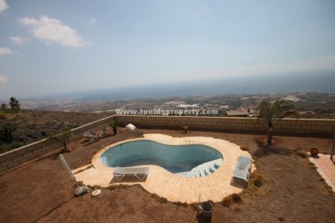 Villa for sale in Los Menores, Tenerife, Spain 6 bedrooms, 600 sq.m. No. 24283 - photo 4