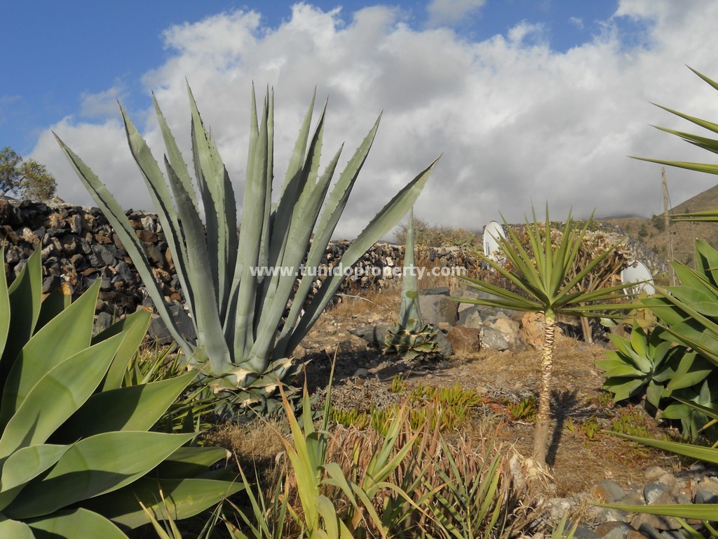 Finca in Guia de Isora, Tenerife, Spain 4 bedrooms, 110 sq.m. No. 24357