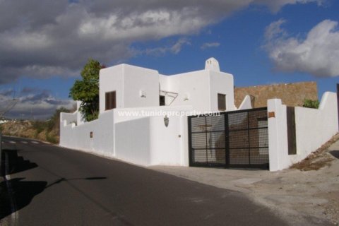 Villa for sale in San Miguel de Abona, Tenerife, Spain 2 bedrooms, 2900 sq.m. No. 24355 - photo 6
