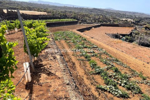 Land plot for sale in Puerto de Santiago, Tenerife, Spain 15 sq.m. No. 24665 - photo 7