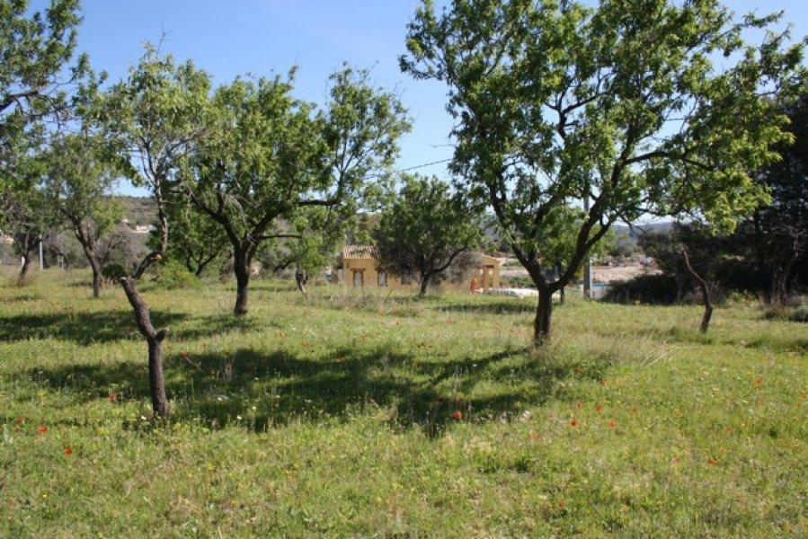 Villa in Benissa, Alicante, Spanien 5 Schlafzimmer, 272 m2 Nr. 24862
