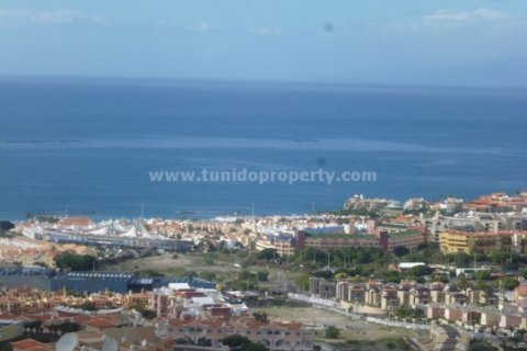 Villa for sale in Torviscas, Tenerife, Spain 4 bedrooms, 690 sq.m. No. 24291 - photo 27