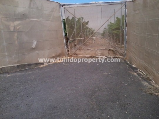 Terreno a Guia de Isora, Tenerife, Spagna 135000 mq. N° 24325
