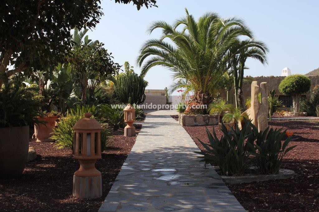 Villa in San Miguel de Abona, Tenerife, Spain 2 bedrooms, 2900 sq.m. No. 24355