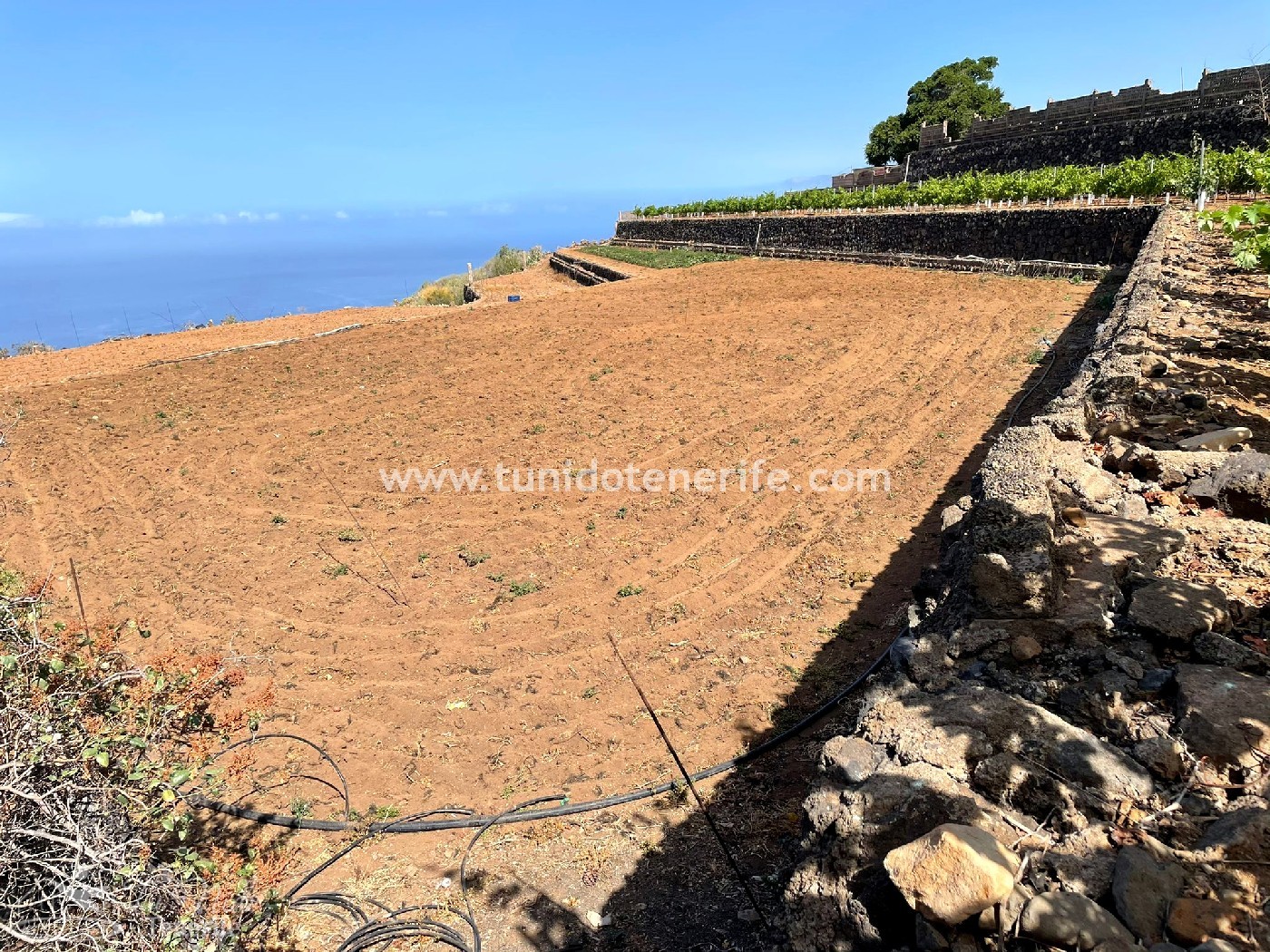 Land plot in Puerto de Santiago, Tenerife, Spain 15 sq.m. No. 24665