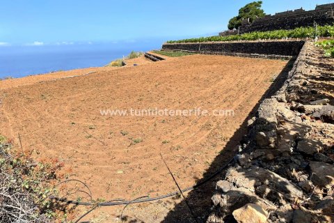 Land plot for sale in Puerto de Santiago, Tenerife, Spain 15 sq.m. No. 24665 - photo 8