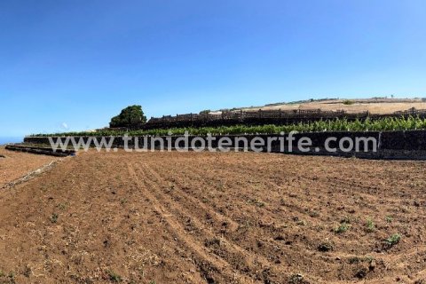 Land plot for sale in Puerto de Santiago, Tenerife, Spain 15 sq.m. No. 24665 - photo 9