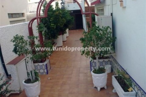 Commercial property for sale in Los Cristianos, Tenerife, Spain 800 sq.m. No. 24324 - photo 7