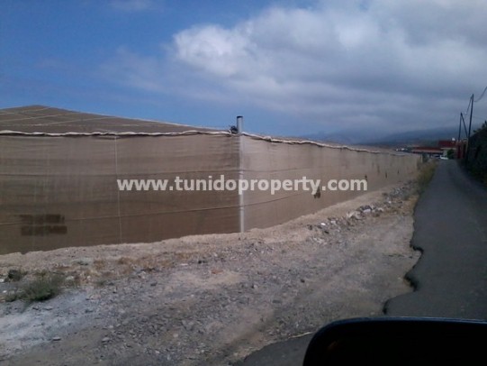 Terreno a Guia de Isora, Tenerife, Spagna 135000 mq. N° 24325