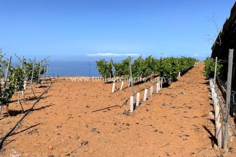 Land plot for sale in Puerto de Santiago, Tenerife, Spain 15 sq.m. No. 24665 - photo 3