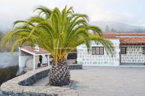 Finca for sale in Granadilla de Abona, Tenerife, Spain 2 bedrooms, 80 sq.m. No. 24367 - photo 13