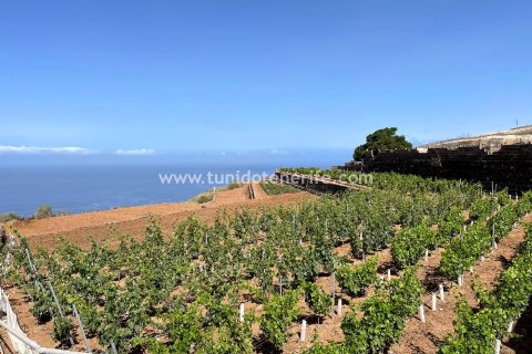 Land plot for sale in Puerto de Santiago, Tenerife, Spain 15 sq.m. No. 24665 - photo 6