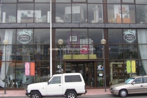 Commercial property for sale in Las Chafiras (San Miguel), Tenerife, Spain 1578 sq.m. No. 24354 - photo 1
