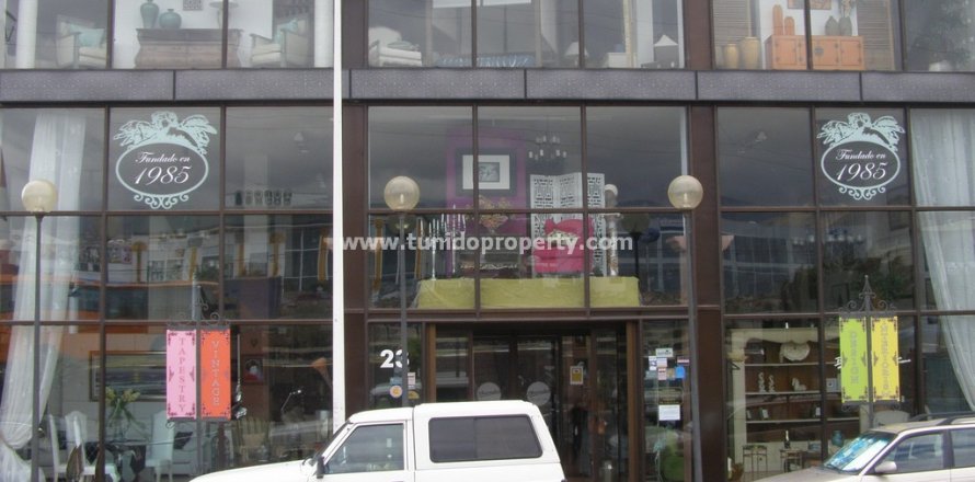 Commercial property in Las Chafiras (San Miguel), Tenerife, Spain 1578 sq.m. No. 24354