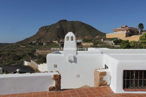 Villa for sale in San Miguel de Abona, Tenerife, Spain 2 bedrooms, 2900 sq.m. No. 24355 - photo 26