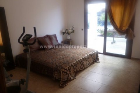 Villa for sale in Torviscas, Tenerife, Spain 4 bedrooms, 690 sq.m. No. 24291 - photo 12