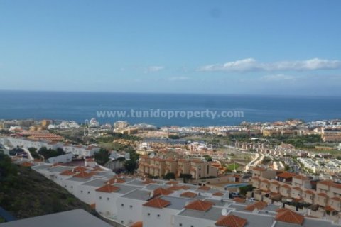 Villa for sale in Torviscas, Tenerife, Spain 4 bedrooms, 690 sq.m. No. 24291 - photo 24