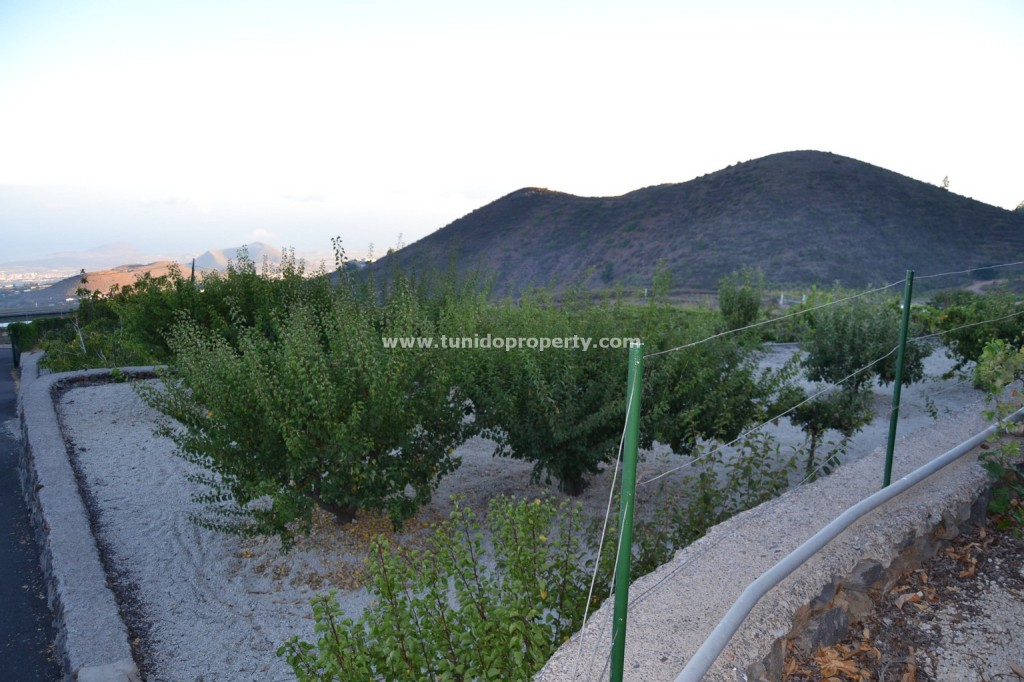 Finca in Granadilla de Abona, Tenerife, Spain 2 bedrooms, 80 sq.m. No. 24367