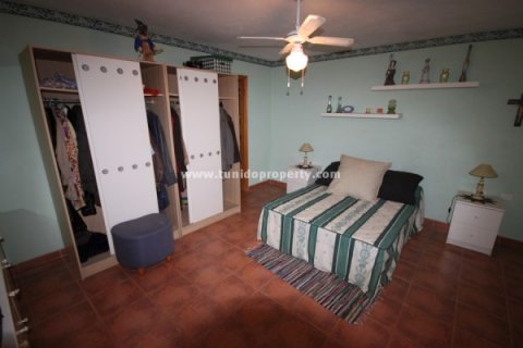 Villa for sale in Los Menores, Tenerife, Spain 6 bedrooms, 600 sq.m. No. 24283 - photo 13