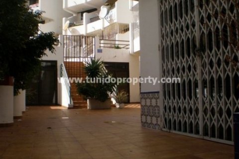 Commercial property for sale in Los Cristianos, Tenerife, Spain 800 sq.m. No. 24324 - photo 2