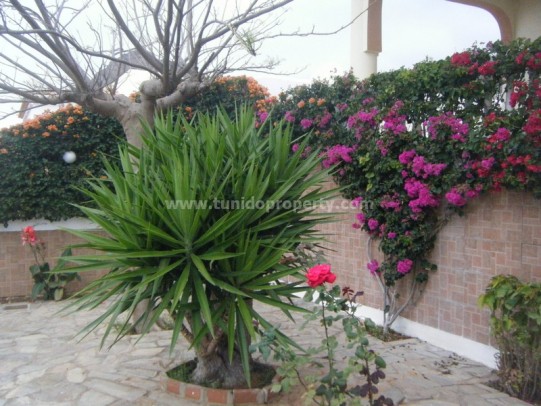 Villa in Valle de San Lorenzo, Tenerife, Spanien 3 Schlafzimmer, 257 m2 Nr. 24288