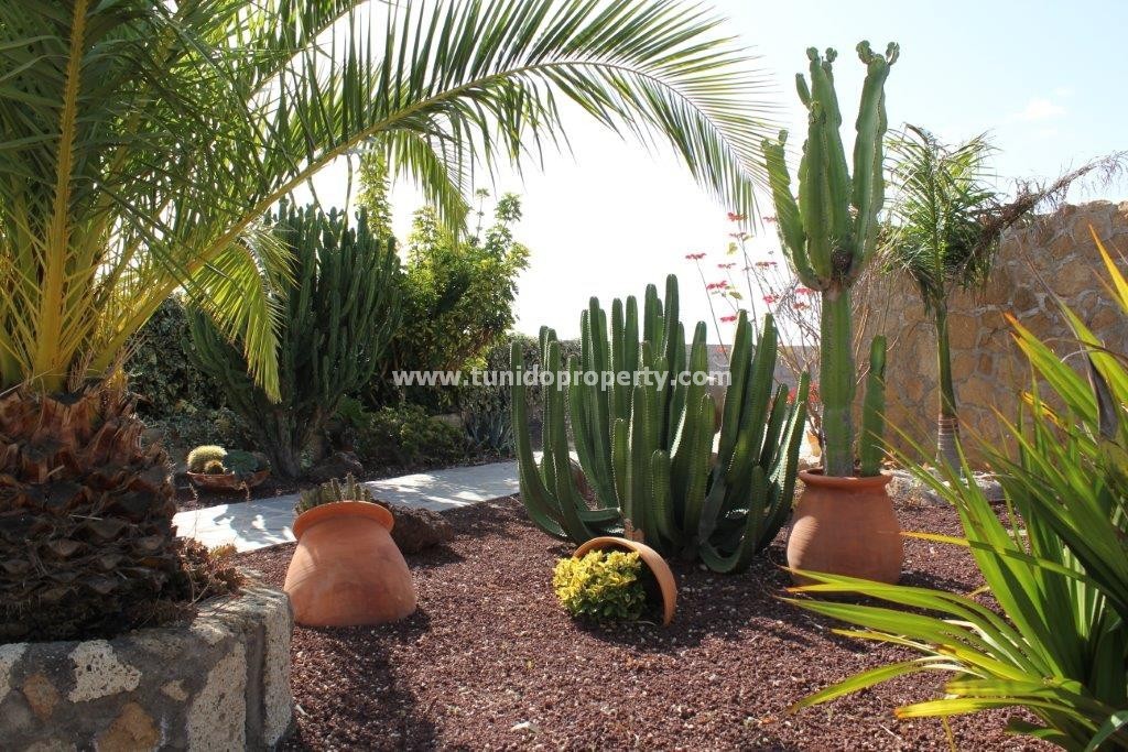Villa in San Miguel de Abona, Tenerife, Spain 2 bedrooms, 2900 sq.m. No. 24355
