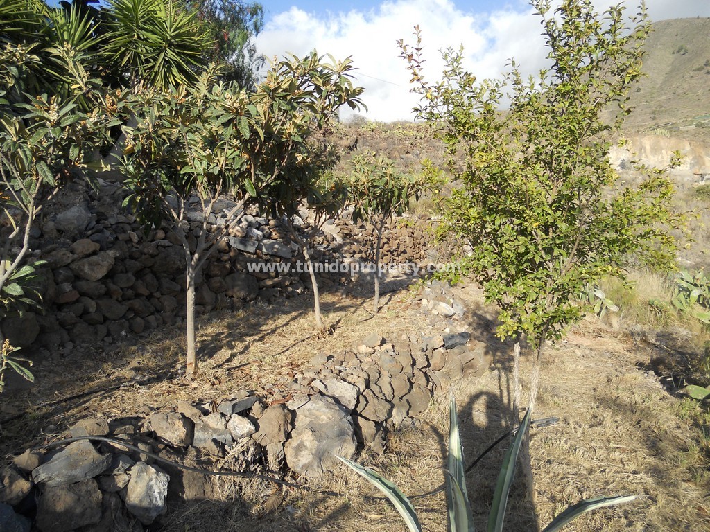 Finca in Guia de Isora, Tenerife, Spain 4 bedrooms, 110 sq.m. No. 24357