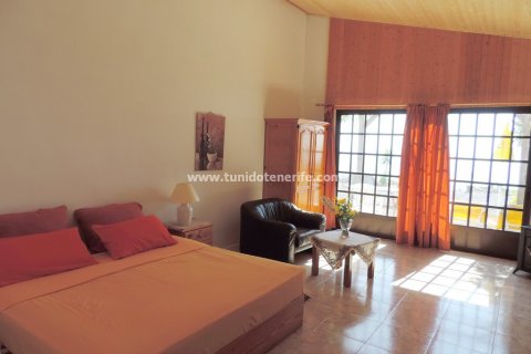 Finca for sale in Guia de Isora, Tenerife, Spain 4 bedrooms, 110 sq.m. No. 24357 - photo 21