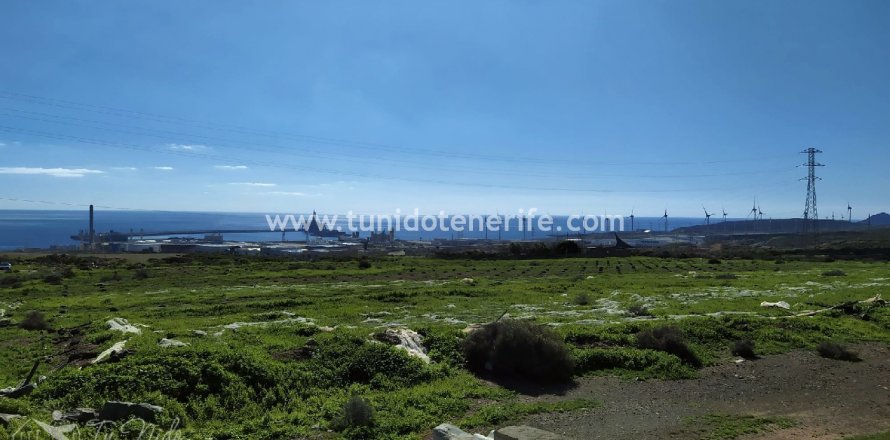 Land plot in Granadilla de Abona, Tenerife, Spain 44400 sq.m. No. 24662