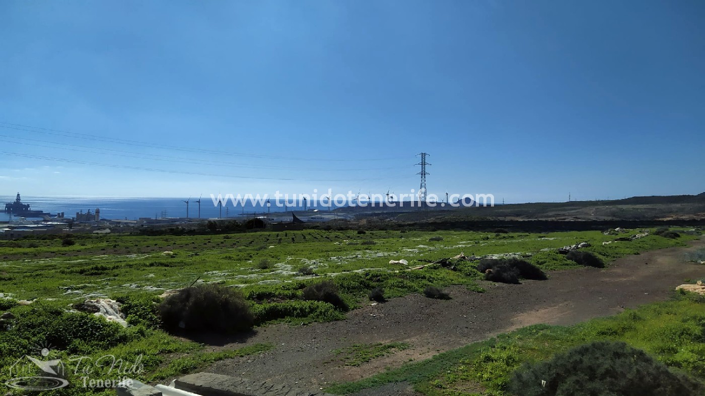 Land plot in Granadilla de Abona, Tenerife, Spain 44400 sq.m. No. 24662