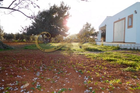 Land plot for sale in San Jordi De Ses Salines, Ibiza, Spain 5 bedrooms, 2050 sq.m. No. 30795 - photo 9
