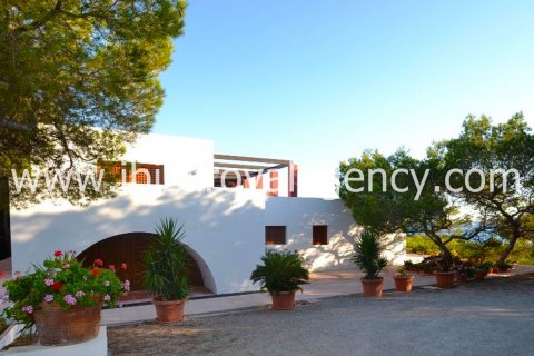 Villa for sale on Formentera, Spain 6 bedrooms, 500 sq.m. No. 30872 - photo 3
