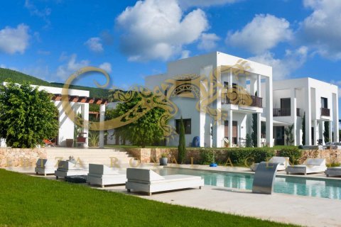 Villa for sale in Santa Eulalia Del Rio, Ibiza, Spain 7 bedrooms, 650 sq.m. No. 30812 - photo 1