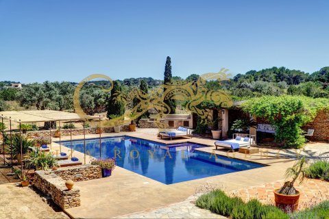 Villa for sale on Formentera, Spain 5 bedrooms, 300 sq.m. No. 30801 - photo 16